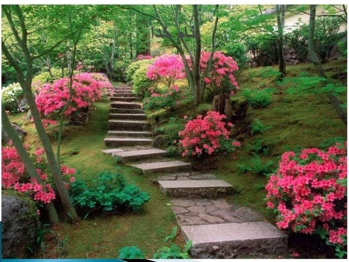 پاورپوینت زايمان، وضع حمل و نفاس