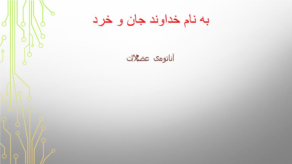 پاورپوینت آناتومی عضلات