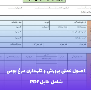 اصول عملی پرورش و نگهداری مرغ بومی فایل PDF | راهنمای کاربردی و سودآور