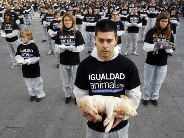 پاورپوینت جایگاه حقوق حیوانات