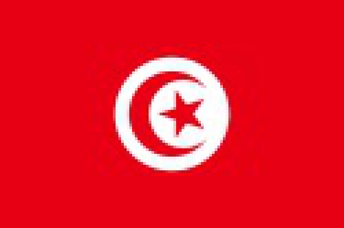  پاورپوینت کامل و جامع با عنوان بررسی کشور تونس در 38 اسلاید