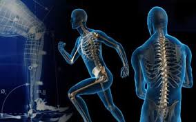 پاورپوینت اصول کینماتیک تروما