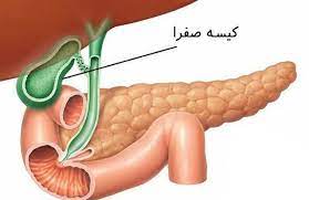 دانلود پاورپوینت کبد و مجاری صفراوی