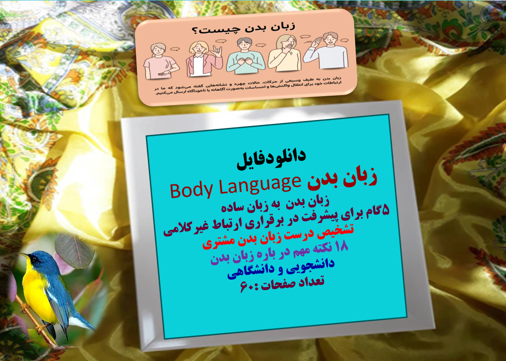 زبان بدن Body Language زبان بدن  به زبان ساده  5گام برای پیشرفت در برقراری ارتباط غیرکلامی تشخیص