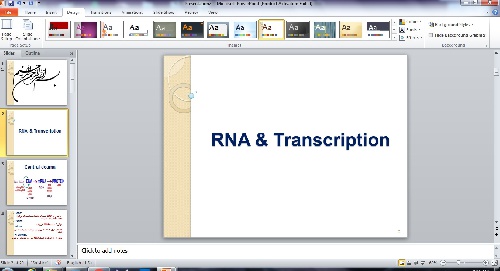  دانلود پاورپوینت RNA & Transcription