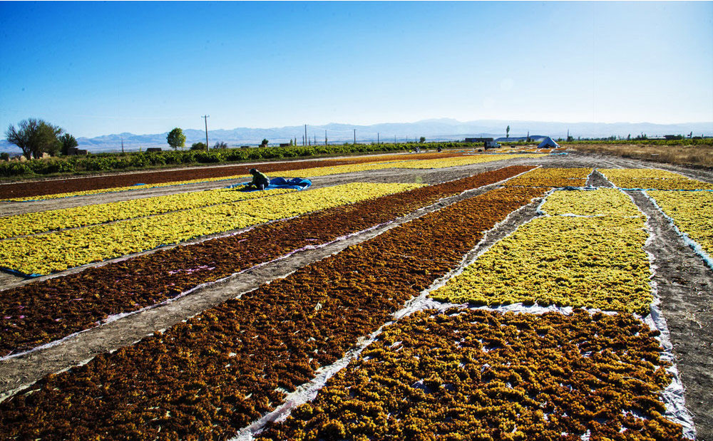 پاورپوینت روستای تیتکانلو